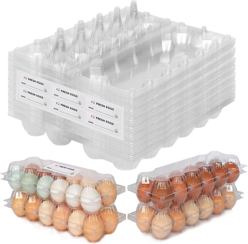 SINLUCESCE 60 Packs 12 Count Clear Egg Cartons, 2 * 6 Grids Design, Perfect for Family, Farm, Markets, Display(Large) - Image 1